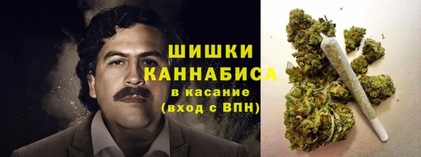 ALPHA PVP Богородицк