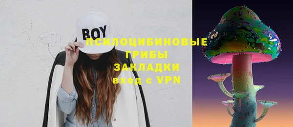 ALPHA PVP Богородицк