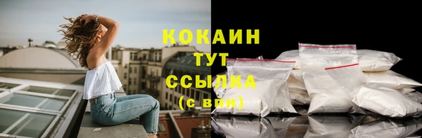 прущие грибы Богданович