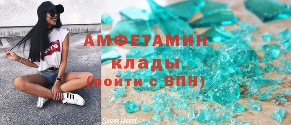 прущие грибы Богданович