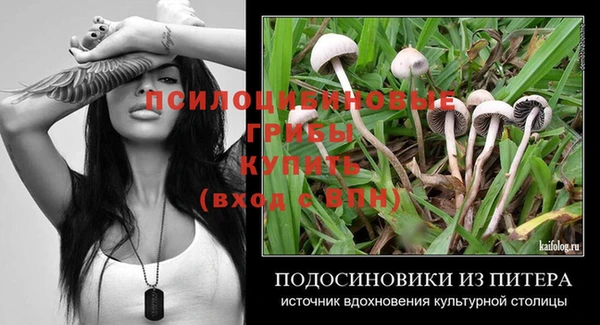 ALPHA PVP Богородицк