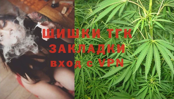 прущие грибы Богданович